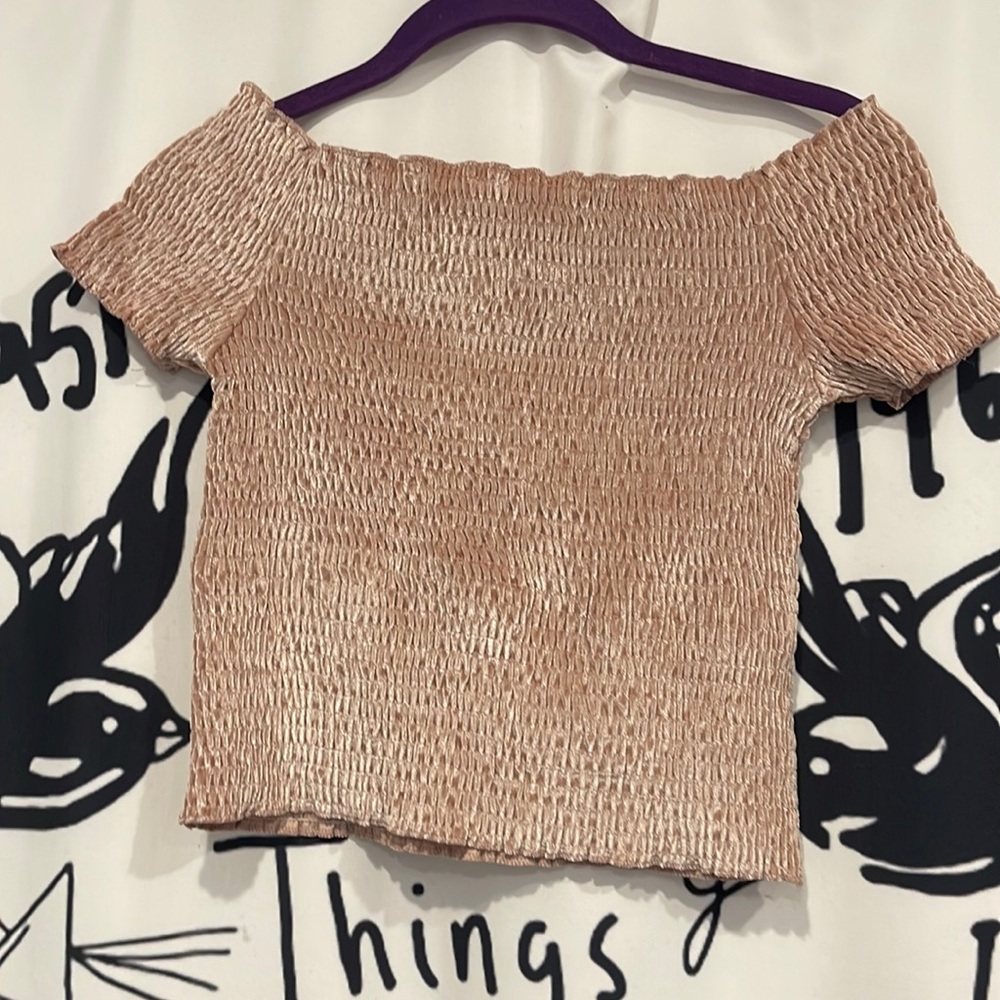 NWT🙏🏻velvet off the shoulder crop top